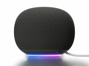 Google Home Speaker