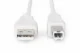 ASSMANN Electronic AK-300102-030-E #2