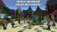 Nintendo Minecraft : Nintendo Switch Edition #7