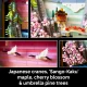 Geberit ART Japanese Cherry Blossom Landscape #10