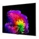 LG OLED evo AI OLED55G64LW #5