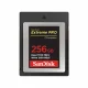 Sandisk SDCFE-256G-GN4NN