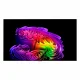 LG OLED evo AI OLED77G64LW #8