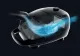 Hoover HE210H 011 #9