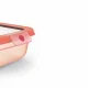 EMSA oneClick N1210500