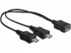 DeLOCK 20.5cm, USB micro-B - 2 x USB micro-B