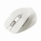 ASUS MD105 MOUSE/MK-WH #2