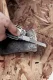 Leatherman Surge #6