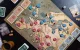 Tactic Gamestorm Vikings' Tales Edge of the World #11