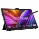 ASUS ProArt PA169CDV