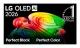 LG OLED AI OLED48B65LA