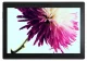 Lenovo TAB 4 10 Plus #1