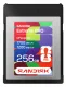 Sandisk SDCFE-256G-GF4NN