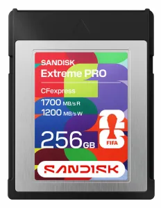 Sandisk SDCFE-256G-GF4NN