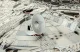 Revell 06718 #3