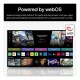 LG 43QNED84A6C.AEU #4