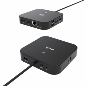 iTEC C31DUALDPDOCKPD