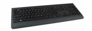 Lenovo 4X30H56869