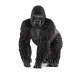 Schleich WILD LIFE 14770