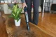 Hoover H-HANDY 700 ORGANISER HH710BSS 011 #13