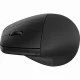 HP 925 Ergonomic Vertical Mouse #31