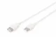 ASSMANN Electronic AK-300202-018-E