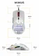 Glorious PC Gaming Race Glorious Model O- Mouse Regular (White) #9