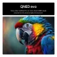 LG QNED evo AI 55QNED85A6C #8