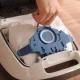 Miele GN XL HyClean Pure #4