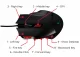 SureFire Eagle Claw Gaming Mouse #7