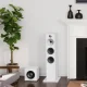 Bowers & Wilkins ASW608 #4