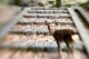 Lensbaby Composer Pro II with Sweet 50 Optic #4