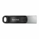 Sandisk SDIX60N-256G-GN6NE #2