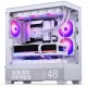Phanteks XT View Matrix #10