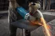 Bosch GWS 24-230 P #7