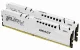 Kingston Technology FURY Beast