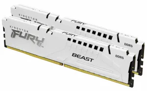 Kingston Technology FURY Beast