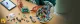 Lego 43019 #6