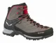 Salewa MTN Trainer Mid GTX