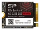 Silicon Power UD90