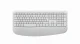 Logitech Signature Comfort Plus Combo MK880 #4