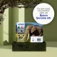 Epson Elephant C13T24364012 #5