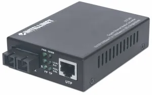 Intellinet 507349
