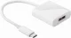 Wentronic USB-C/DisplayPort