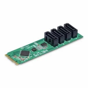StarTech.com 4P-SATA-M2-ADAPTER