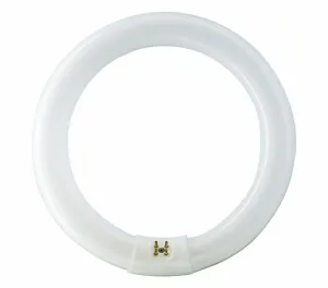 Philips TL-E 32W/840 1CT/12