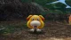 Nintendo Pikmin 4 #21