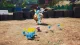 Nintendo Pikmin 4 #9