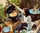 OUTDOORCHEF Minichef 420G #6
