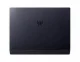 Acer  #8